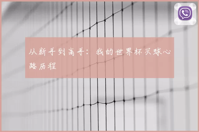 从新手到高手：我的世界杯买球心路历程