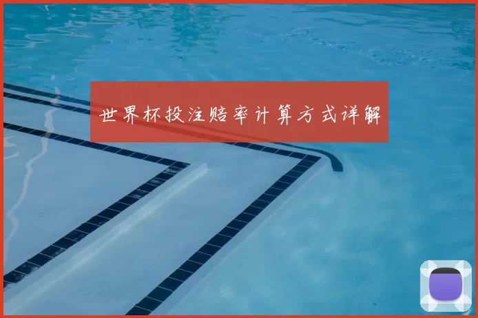 世界杯投注赔率计算方式详解