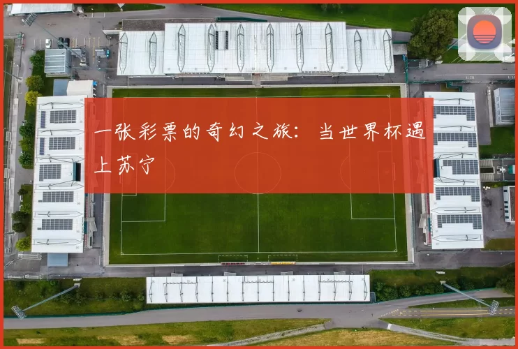 一张彩票的奇幻之旅:当世界杯遇上苏宁