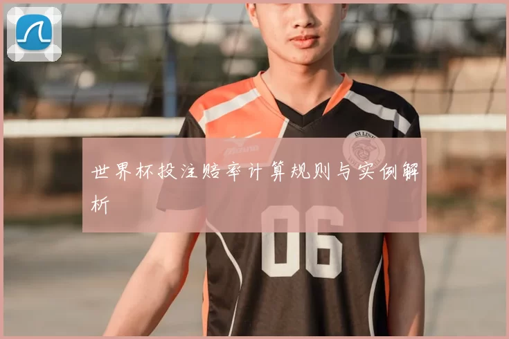 世界杯投注赔率计算规则与实例解析