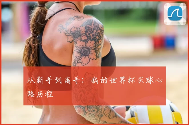 从新手到高手：我的世界杯买球心路历程