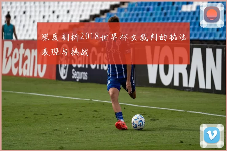 深度剖析2018世界杯女裁判的执法表现与挑战