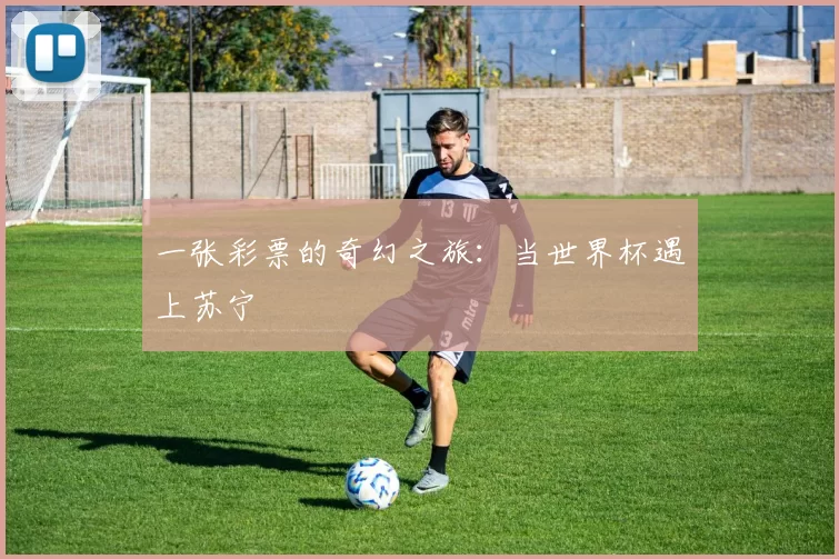 一张彩票的奇幻之旅:当世界杯遇上苏宁
