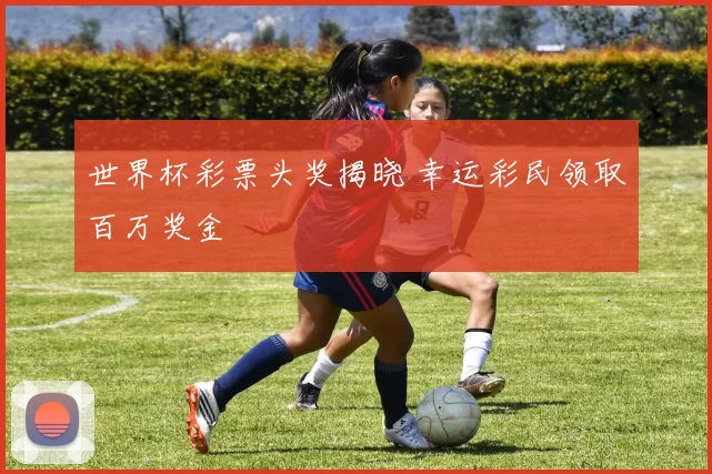 世界杯彩票头奖揭晓 幸运彩民领取百万奖金