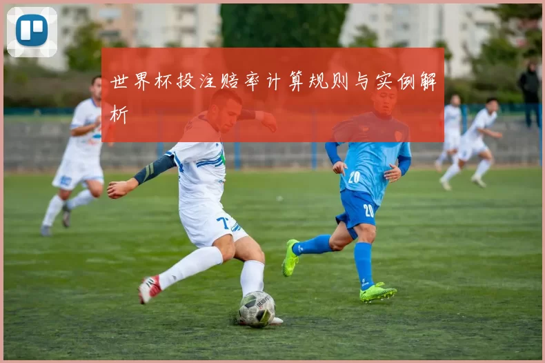 世界杯投注赔率计算规则与实例解析