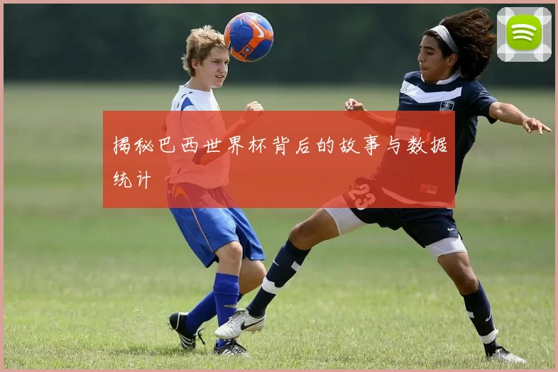 揭秘巴西世界杯背后的故事与数据统计