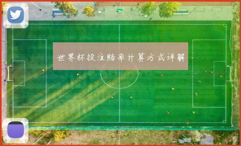 世界杯投注赔率计算方式详解