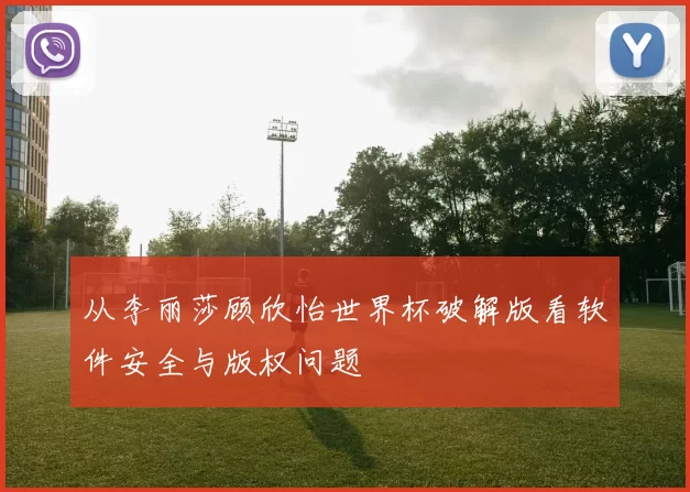 从李丽莎顾欣怡世界杯破解版看软件安全与版权问题