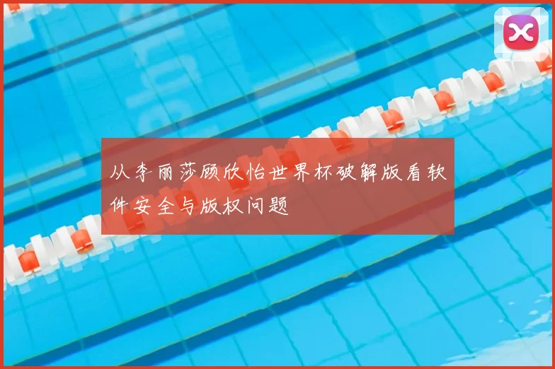 从李丽莎顾欣怡世界杯破解版看软件安全与版权问题