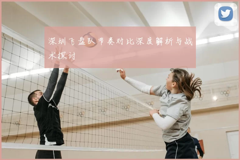 深圳飞盘队节奏对比深度解析与战术探讨
