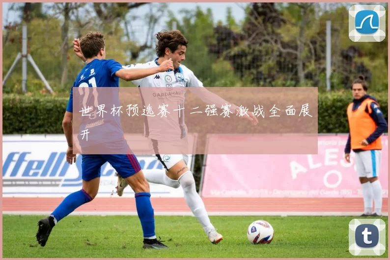 世界杯预选赛十二强赛激战全面展开