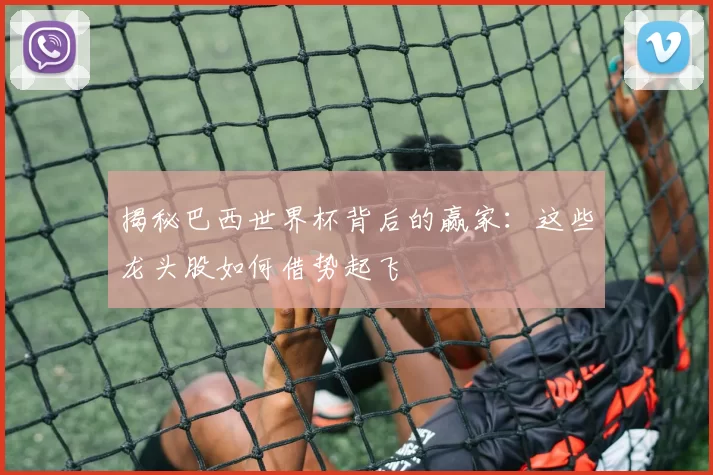 揭秘巴西世界杯背后的赢家：这些龙头股如何借势起飞