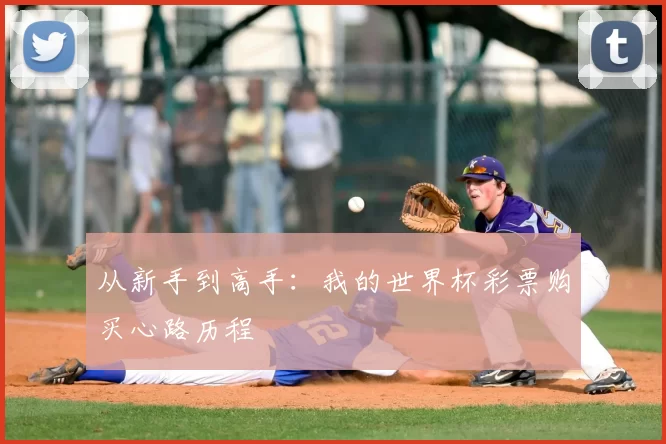 从新手到高手:我的世界杯彩票购买心路历程