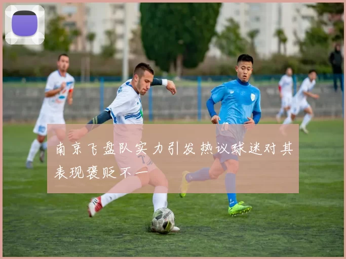 南京飞盘队实力引发热议球迷对其表现褒贬不一